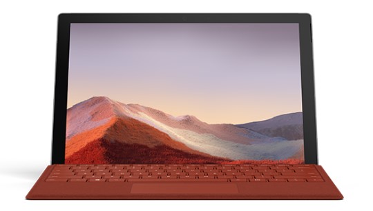 琼山清洁和维护 Surface